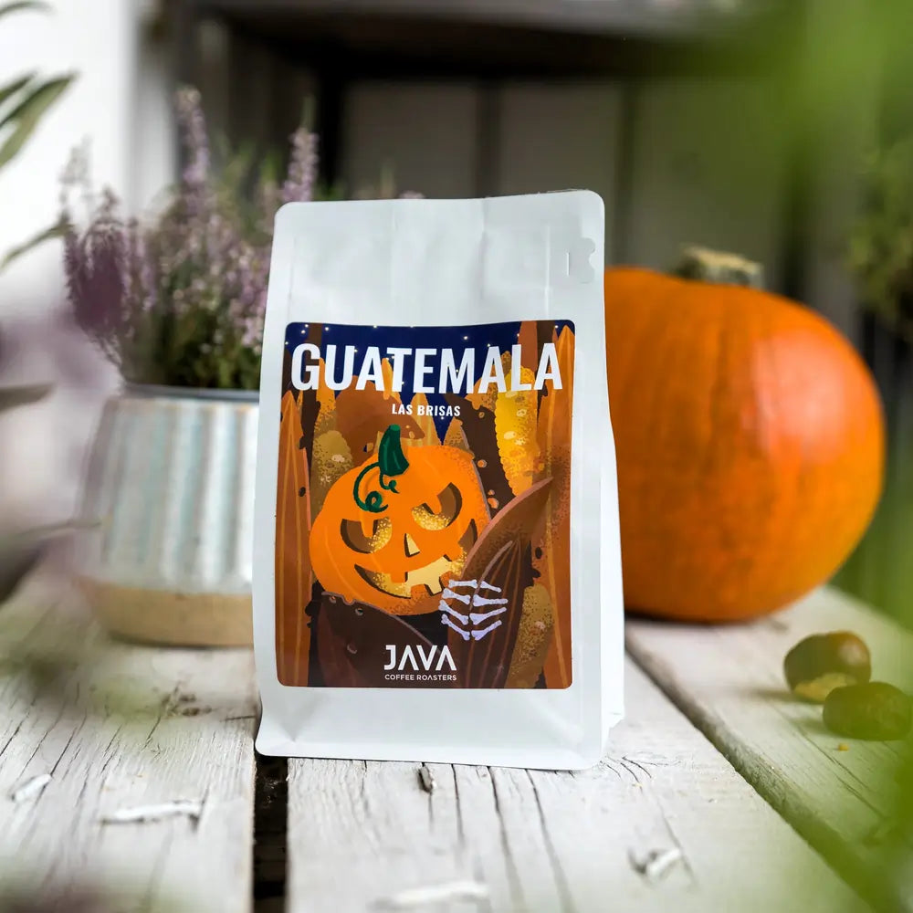 Kawa specialty Guatemala Las Brisas JAVA Coffee Roasters 250g – jesienna sceneria z dynią i filiżanką kawy