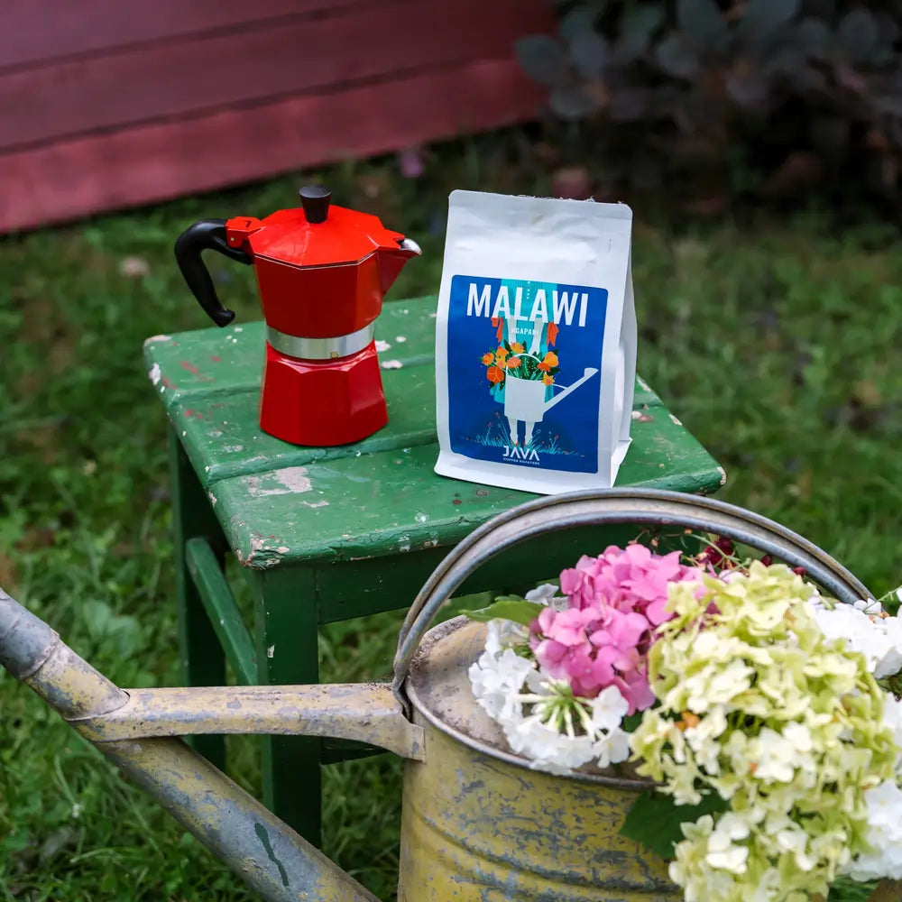 Kawa Malawi Ngapani od JAVA Coffee Roasters na zielonym stoliku obok czerwonej kawiarki moka i konewki z kwiatami – oferta kawy specialty dla gastronomii i biur.