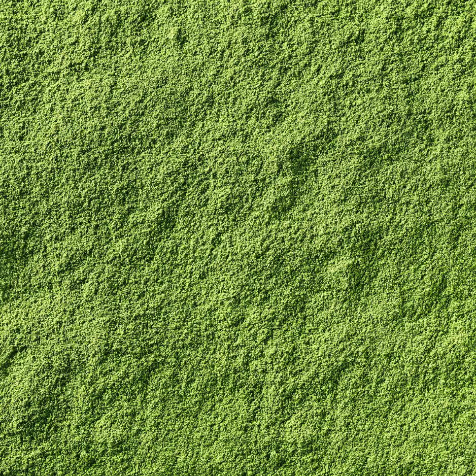 Zbliżenie makro na intensywnie zielony proszek matcha, ukazujące drobną strukturę i teksturę proszku w detalach.