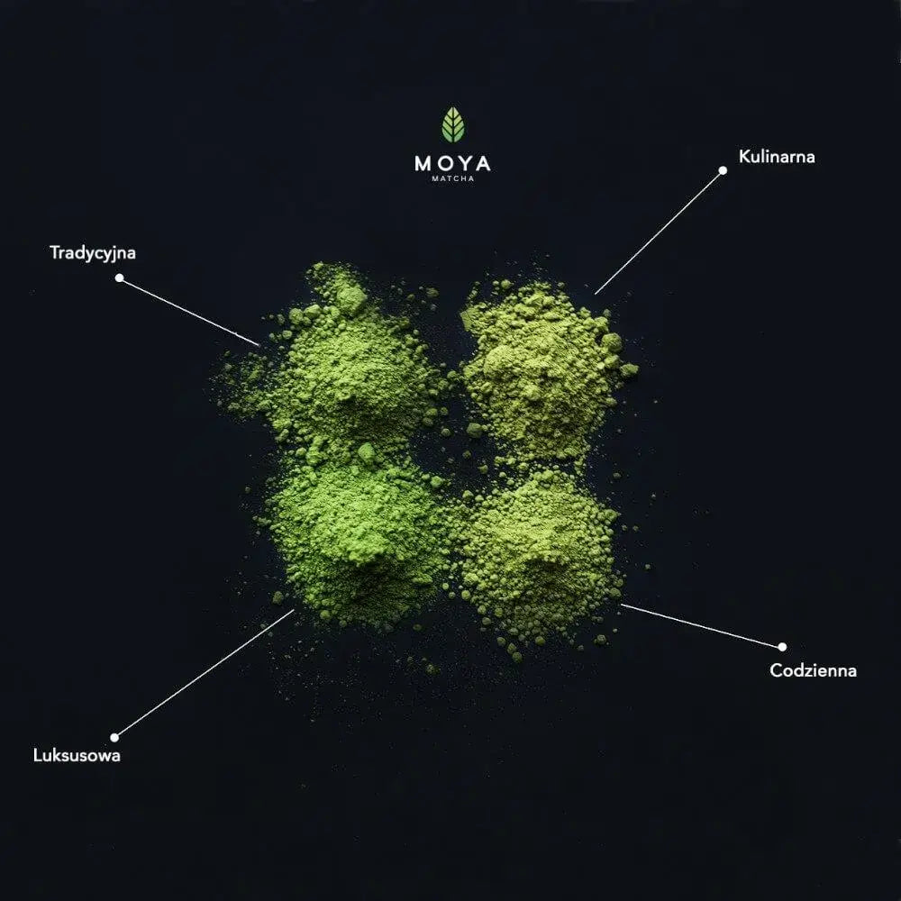 Porównanie czterech rodzajów herbaty Moya Matcha na czarnym tle – luksusowa, tradycyjna, codzienna i kulinarna – różnice w odcieniu zieleni proszku.
