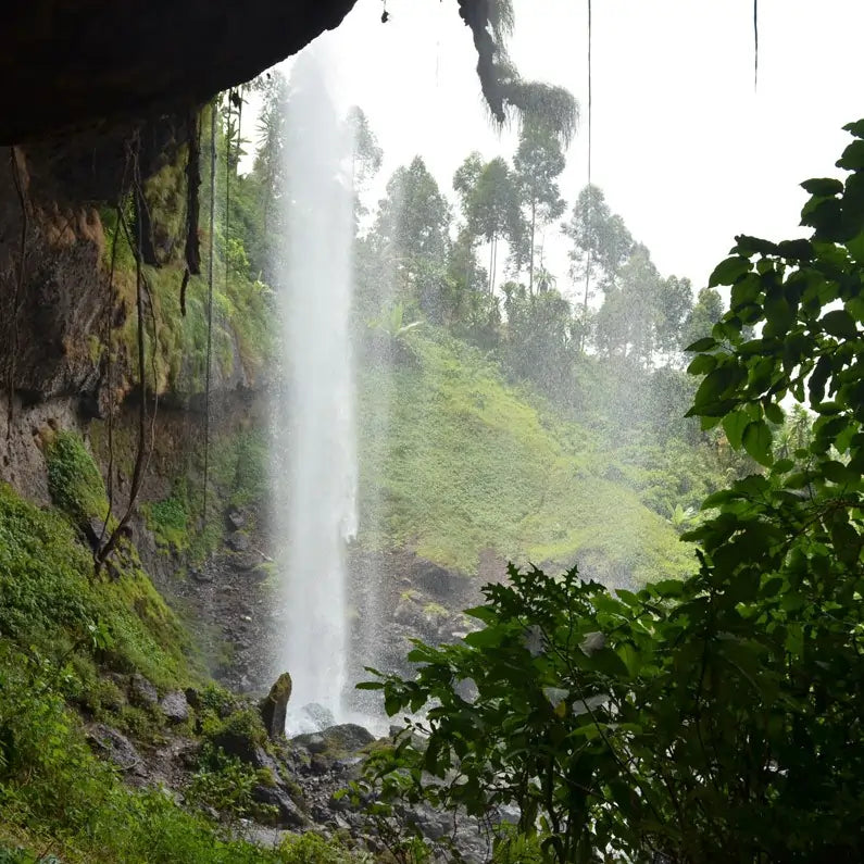 Wodospady Sipi Falls w regionie Bugisu, Uganda – malowniczy krajobraz w pobliżu upraw kawy arabika.
