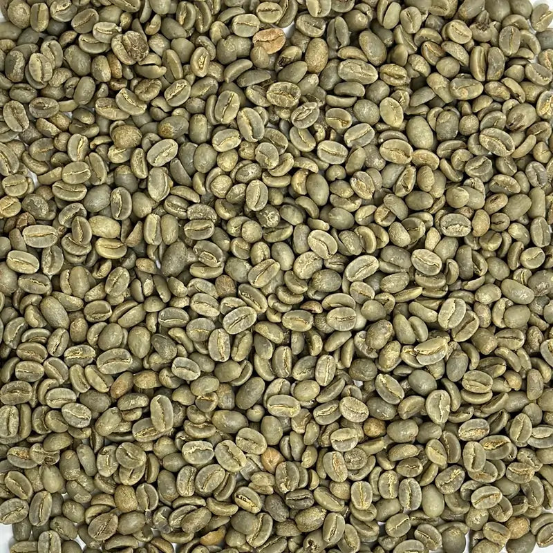 Zielone ziarna kawy arabica – surowa, niepalona kawa z Ugandy, gotowa do wypału.