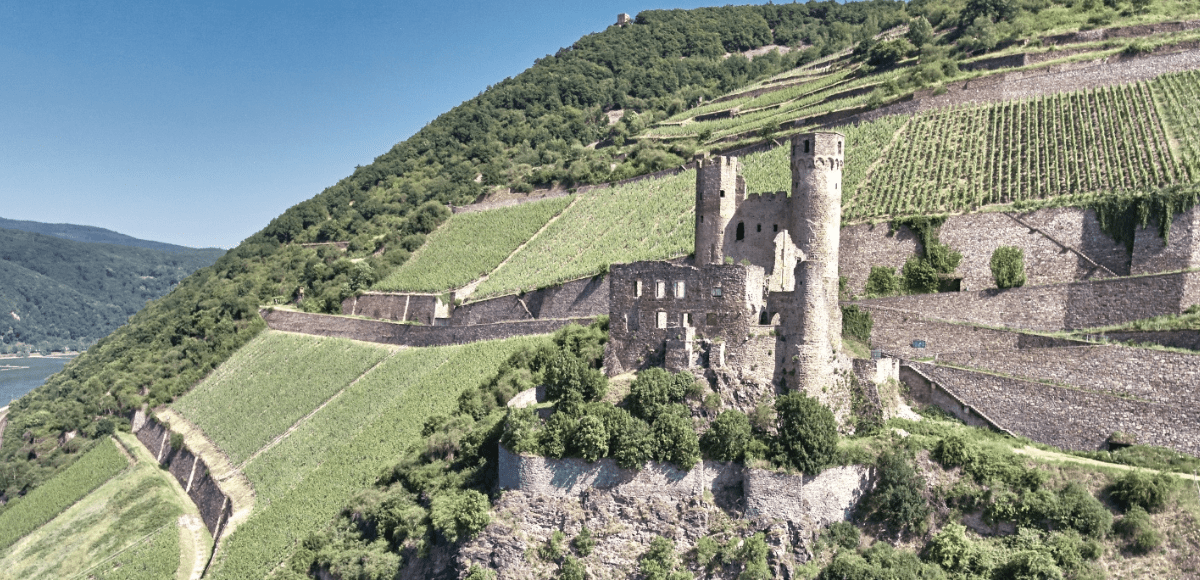 Berg Schlossberg vineyards - Leinz, Germany