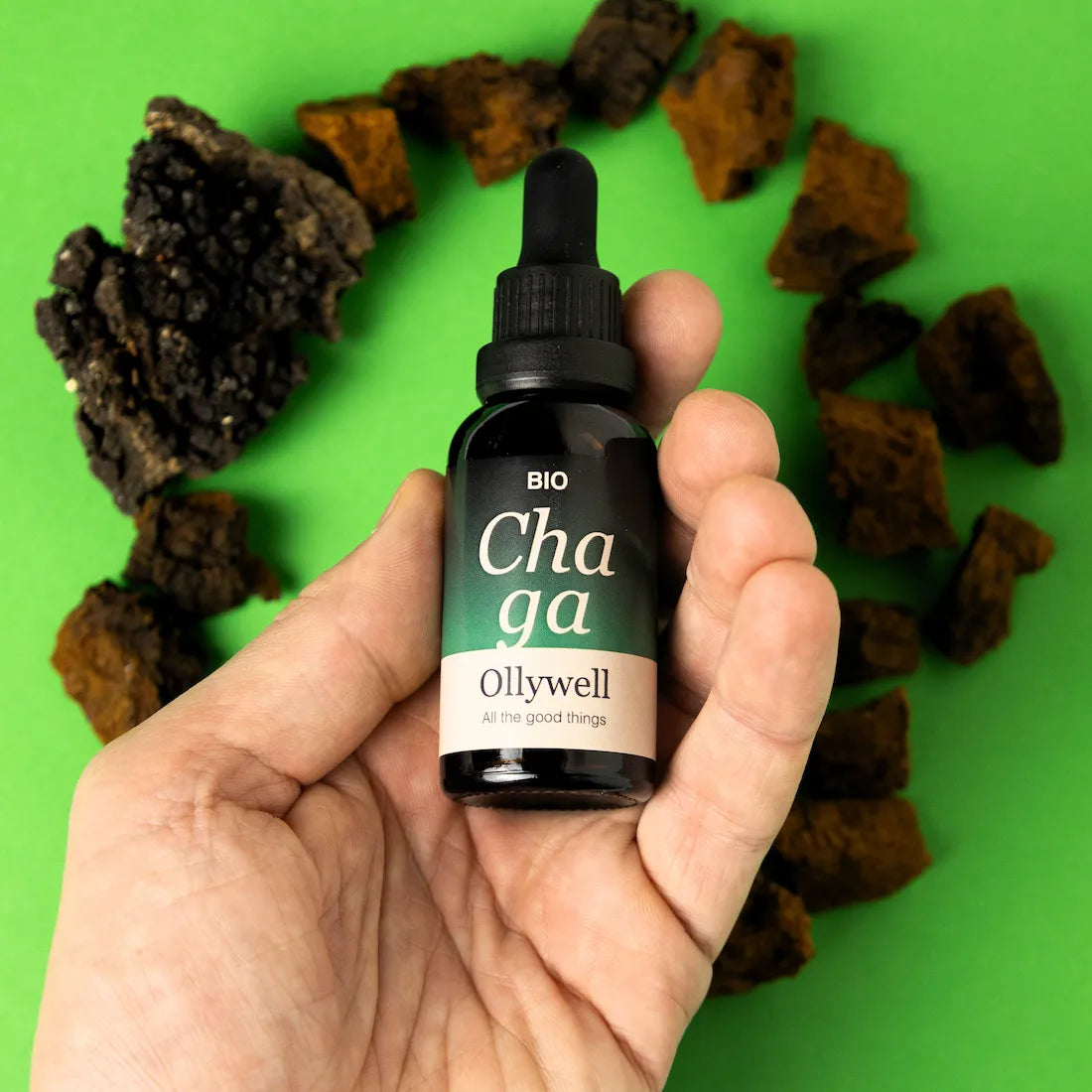 BIO Chaga Ollywell – ekstrakt 10:1 w kroplach na tle naturalnego grzyba Chaga