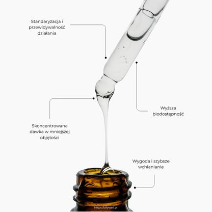 BIO Chaga Ollywell – ekstrakt w kroplach 10:1, skoncentrowana płynna formuła