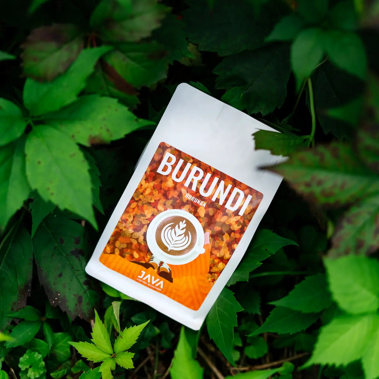 Opakowanie ziarnistej kawy specialty Burundi Burunga od JAVA Coffee Roasters przedstawione wśród intensywnie zielonych liści, podkreślających naturalne pochodzenie kawy z Burundi.