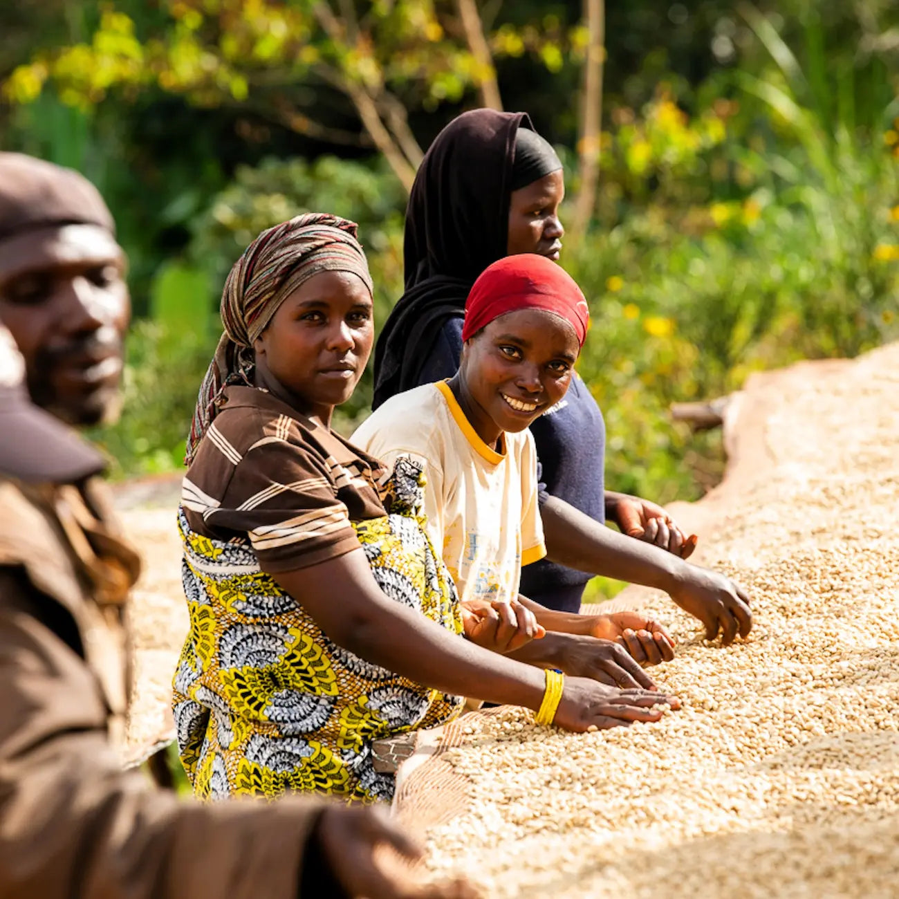 Producentki w Burundi ręcznie selekcjonują ziarna kawy specialty Burundi Burunga podczas suszenia na podniesionych stołach w stacji obróbki.