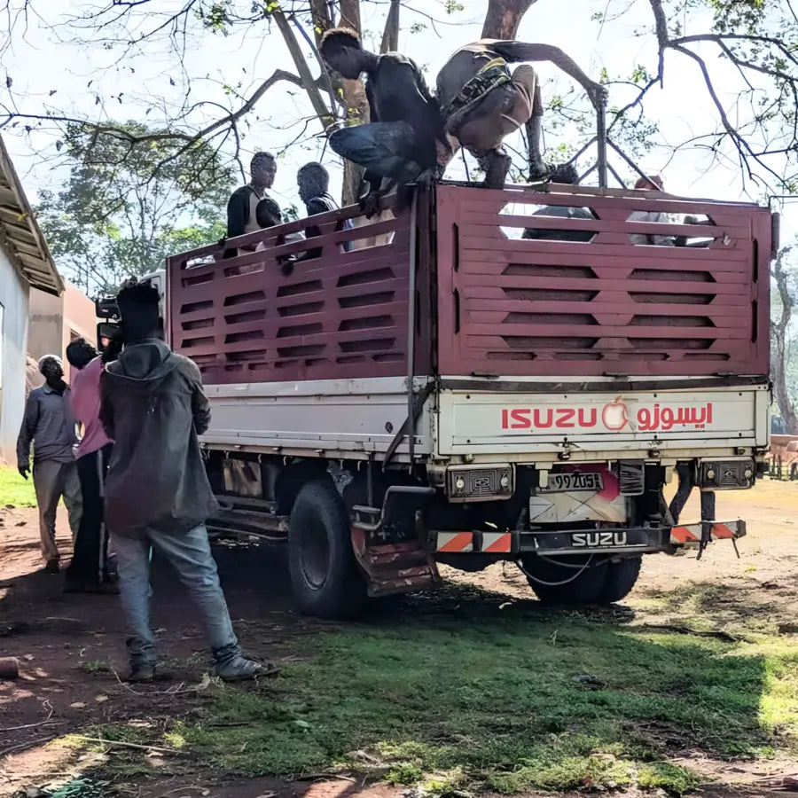 Pracownicy załadowujący ciężarówkę z ziarnami kawy na stacji obróbki Chelektu w Etiopii.