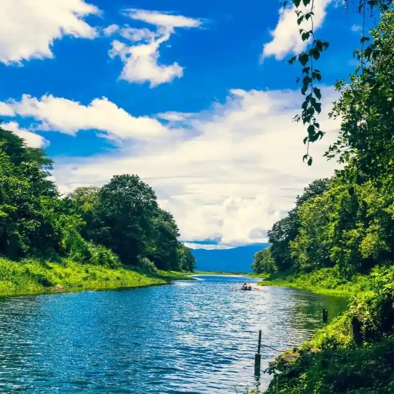 Tropikalny krajobraz Hondurasu z rzeką otoczoną zielonym lasem i górami w tle, słoneczny dzień