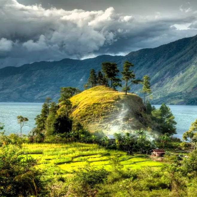 Indonezja Mandhe region uprawy kawy tarasy i krajobraz plantacji kawy Indonesia Mena Gold