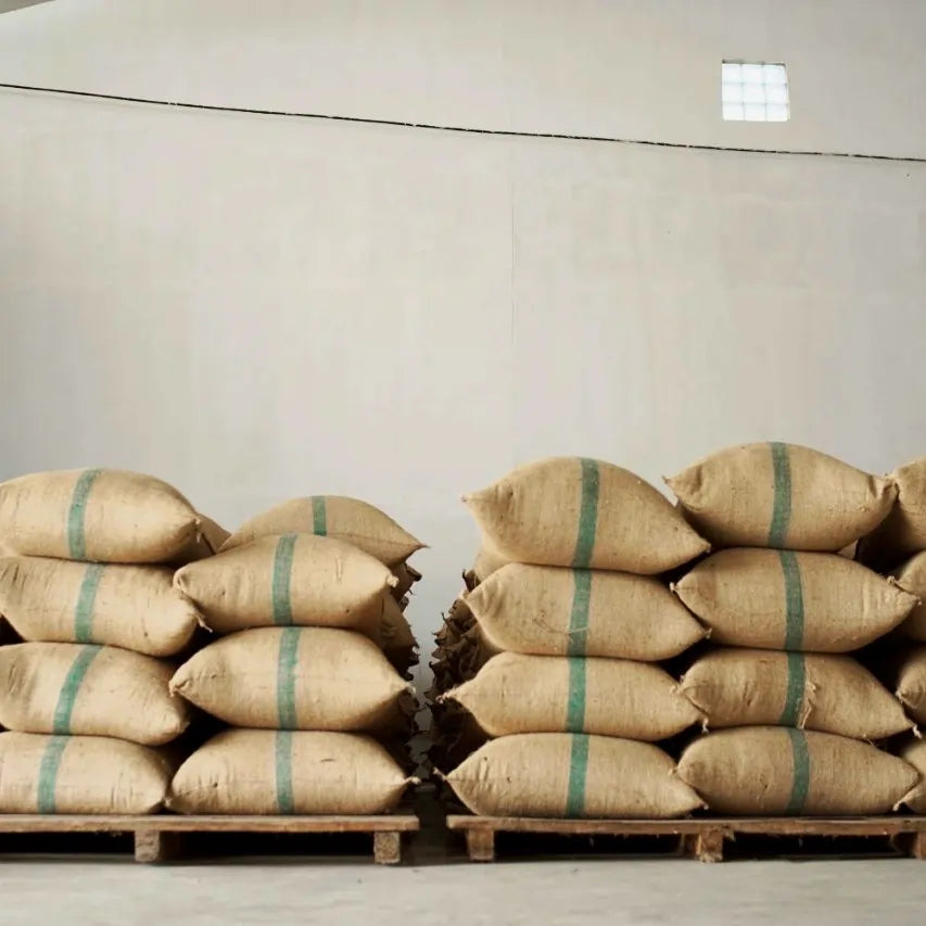 Indonezja Sumatra worki z zieloną kawą ułożone na paletach magazyn Indonesia Mena Gold