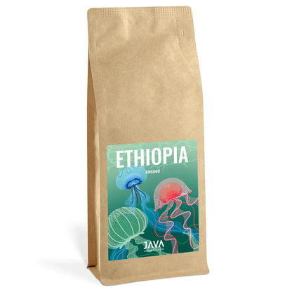 JAVA Coffee Roasters Ethiopia Gogogu 1 kg – kawa ziarnista specialty z Etiopii z nutami owocowymi i kwiatowymi