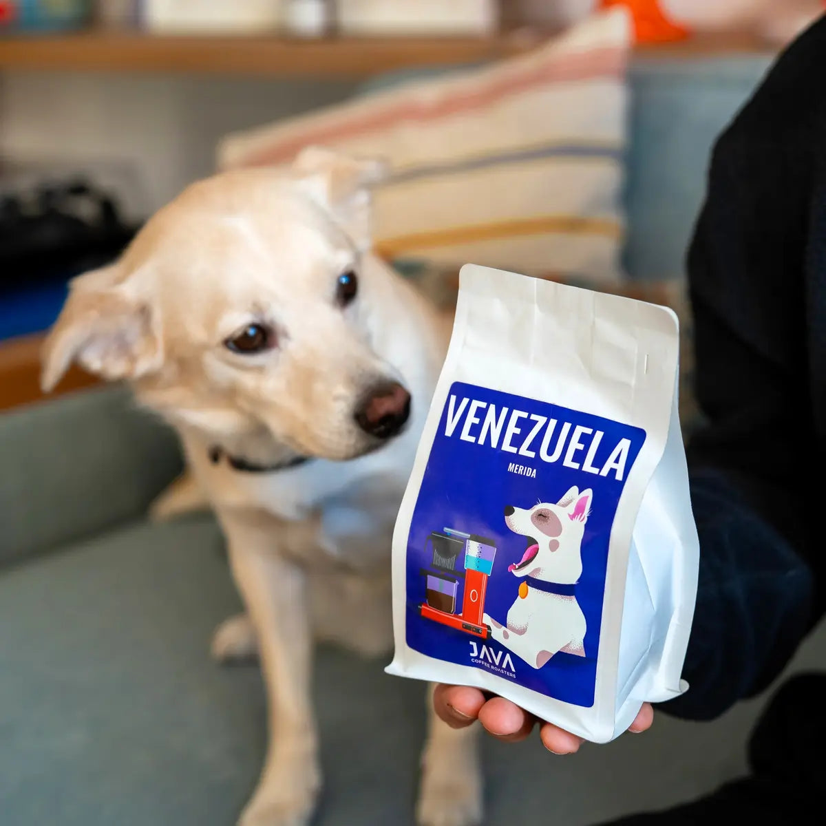 Kawa ziarnista Venezuela Merida 250g JAVA Coffee Roasters obok filiżanki kawy i psa przy stole w domowym wnętrzu