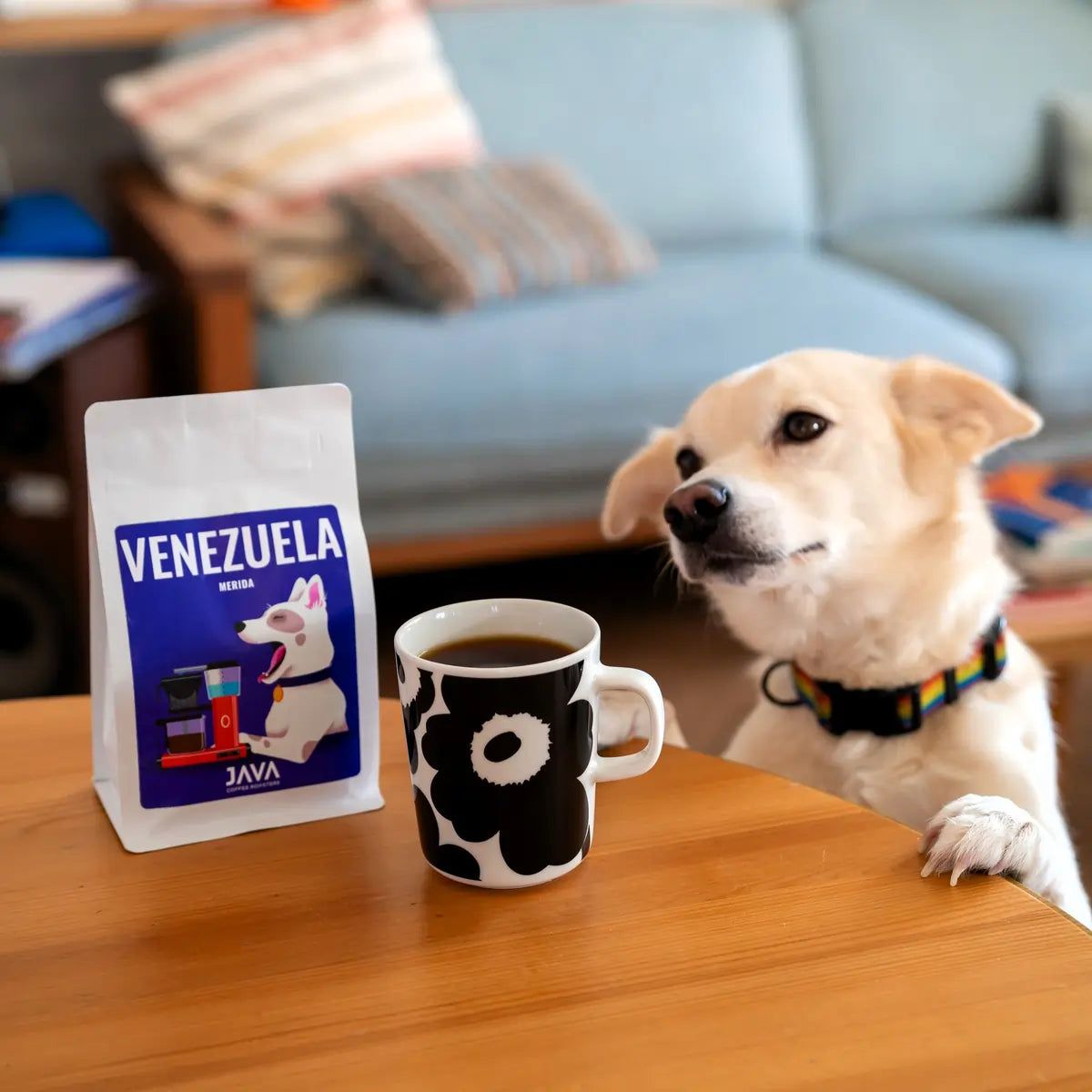 Kawa ziarnista Venezuela Merida 250g JAVA Coffee Roasters obok filiżanki kawy i psa przy stole