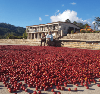 Honduras La Feliciana