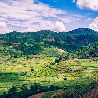 Górzysty krajobraz regionu Yunnan w Chinach – tarasowe pola uprawne i zalesione wzgórza, miejsce uprawy kawy arabika.
