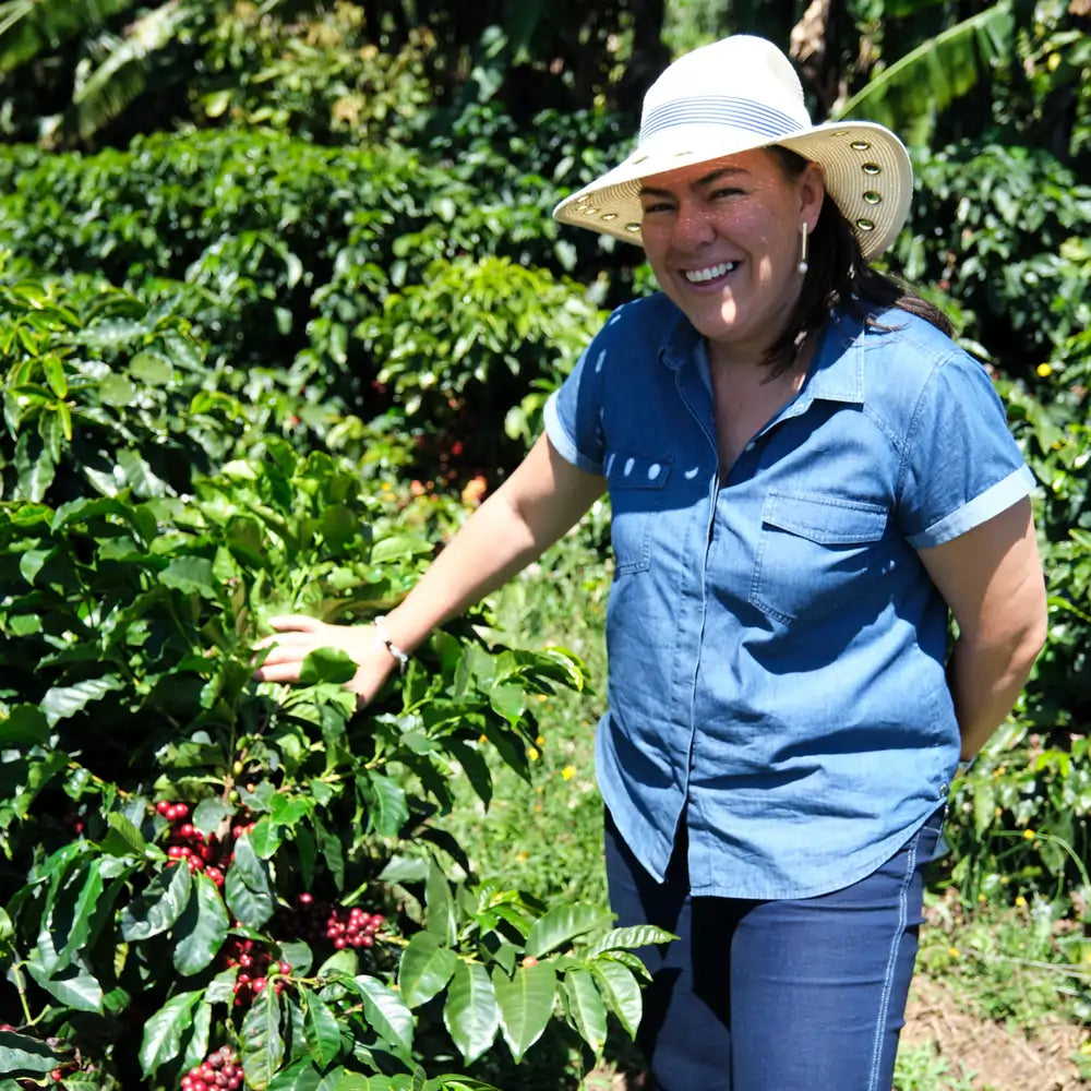 Kobieta w kapeluszu dogląda krzewów kawowca z dojrzałymi czerwonymi owocami na plantacji Las Lajas w Kostaryce.