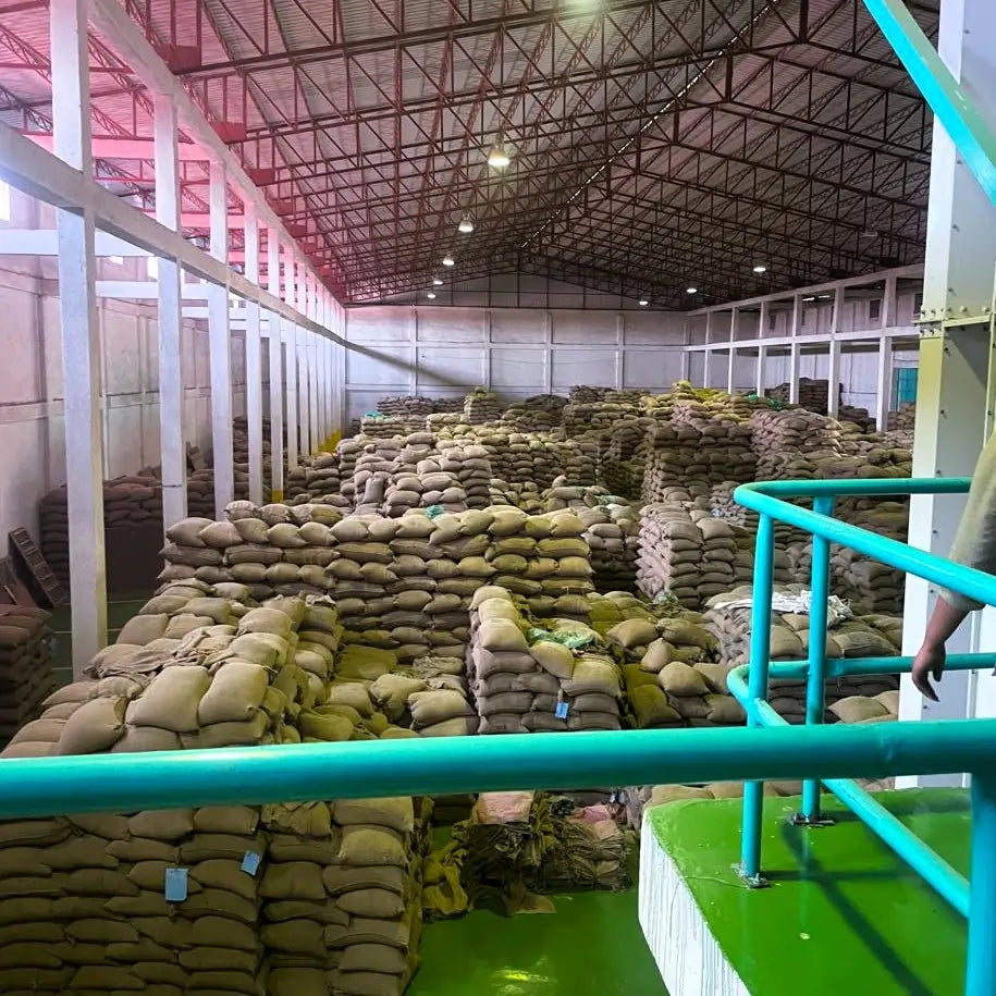 Magazyn w Etiopii wypełniony workami z zielonymi ziarnami kawy przygotowanymi do eksportu