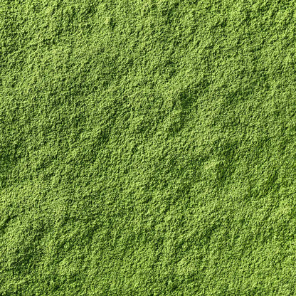 Zbliżenie makro na intensywnie zielony proszek matcha, ukazujące drobną strukturę i teksturę proszku w detalach.