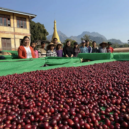 Myanmar A Lel Chaung