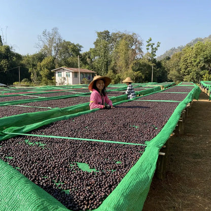Myanmar A Lel Chaung