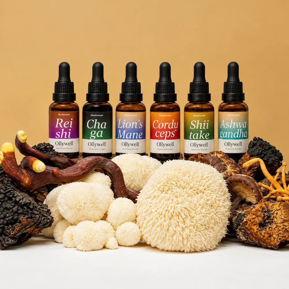 BIO Chaga Ollywell – ekstrakt 10:1 w kroplach na tle naturalnego grzyba Chaga