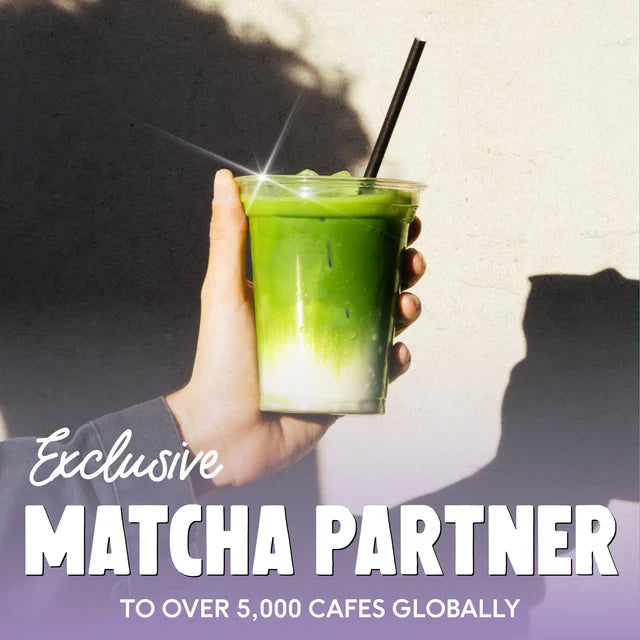 matcha latte w kubku na wynos w ręce – napój premium matcha, współpraca z kawiarniami, PerfectTed