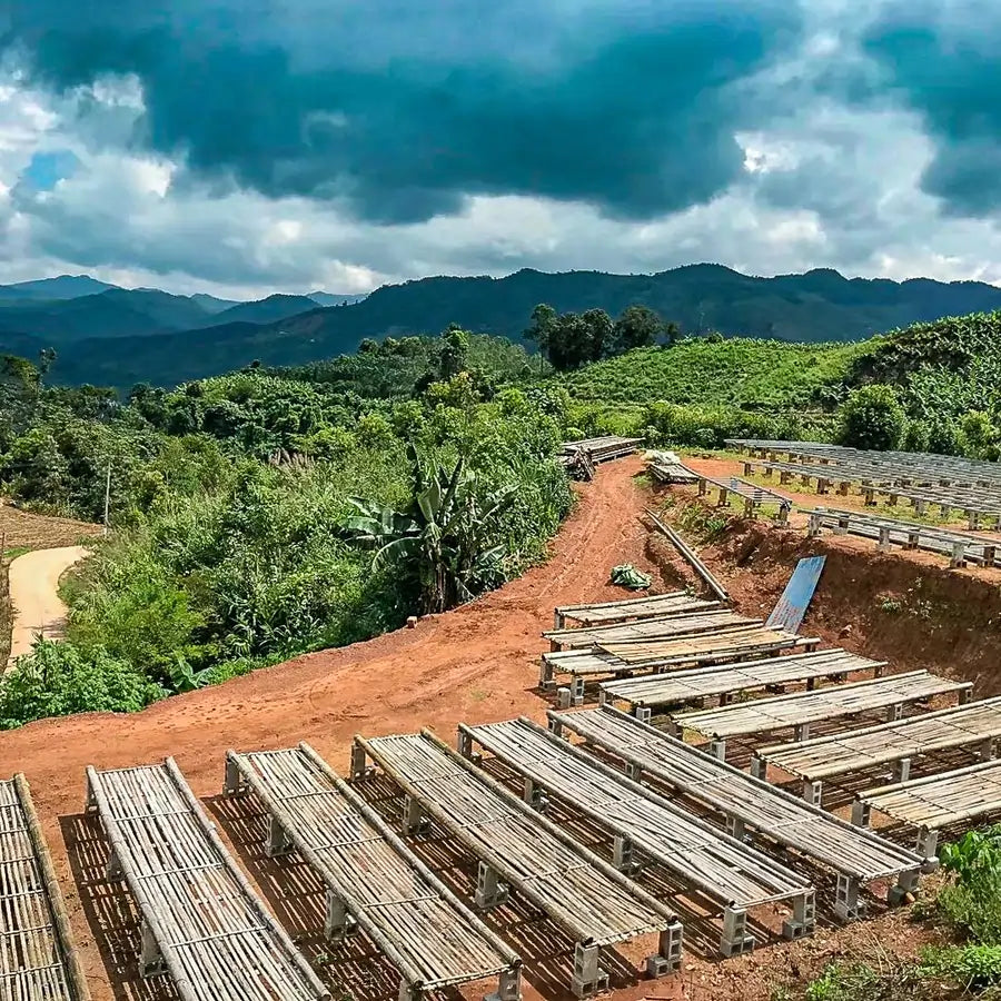 Puste afrykańskie łóżka do suszenia kawy na wzgórzach otoczonych zielenią i górami pod pochmurnym niebem.