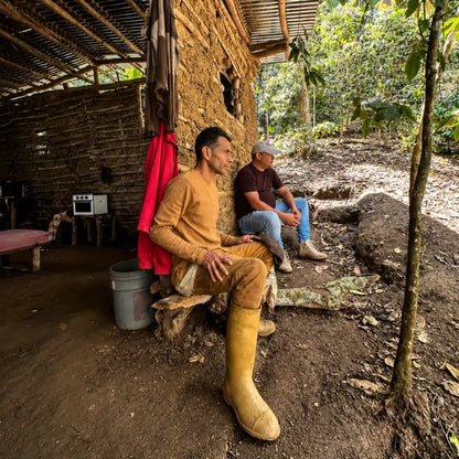 Plantacja kawy Venezuela Merida – rolnicy odpoczywający przy domu na terenie plantacji kawy