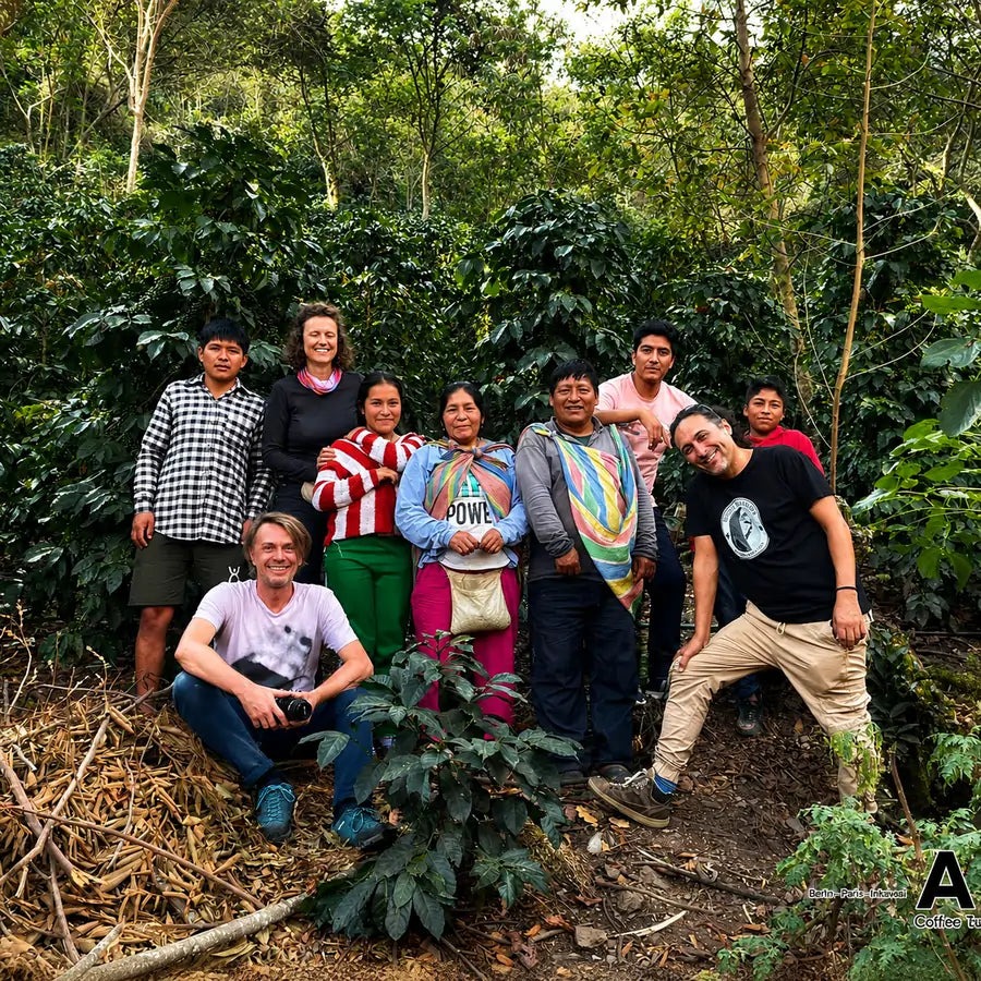 Producenci kawy specialty Peru Tiburcio Alarcon na plantacji kawy Arabica w Peru