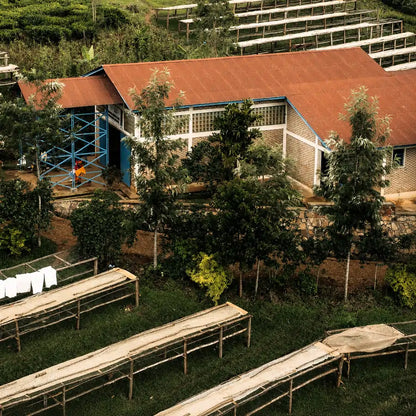 Stacja obróbki Bukeye w Burundi oraz infrastruktura do suszenia kawy specialty w ramach Long Miles Coffee Project