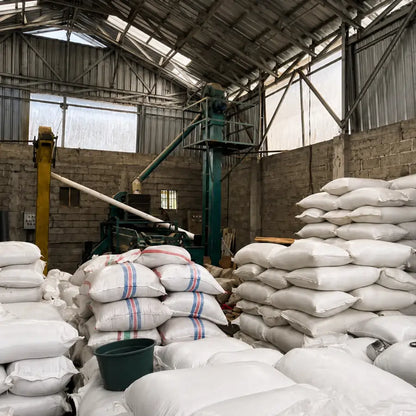 Magazyn zielonej kawy Bali Kintamani z workami przed paleniem – JAVA Coffee Warszawa